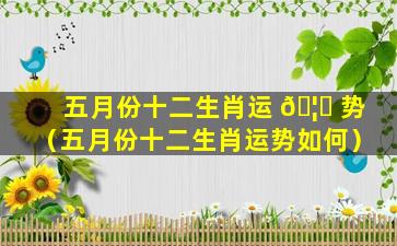 五月份十二生肖运 🦍 势（五月份十二生肖运势如何）